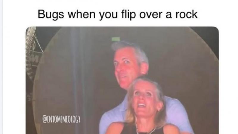 Aventura unui CEO faimos cu o angajată a fost dezvăluită în timpul unui concert Coldplay. Cum au încercat să se ascundă | VIDEO