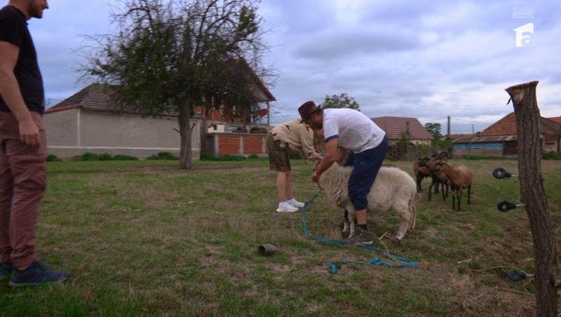 Poftiți pe la noi: Poftiți la întrecere, 2 iulie 2025. Ce echipă a câștigat proba din livada cu meri. De ce a lipsit Liviu Vârciu