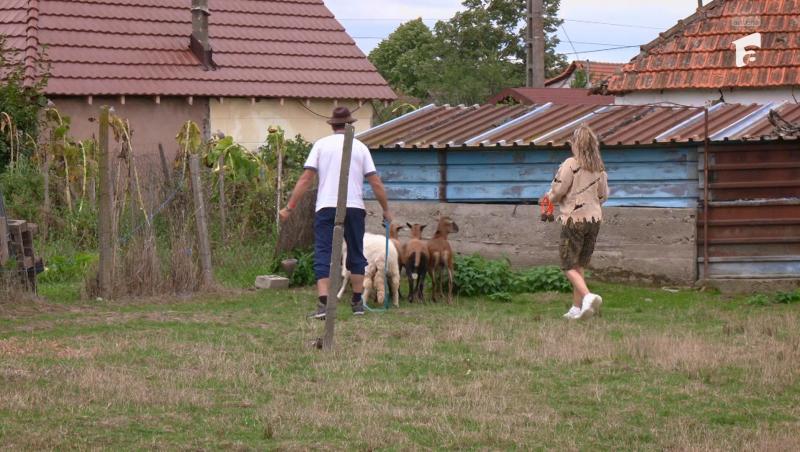 Poftiți pe la noi: Poftiți la întrecere, 2 iulie 2025. Ce echipă a câștigat proba din livada cu meri. De ce a lipsit Liviu Vârciu