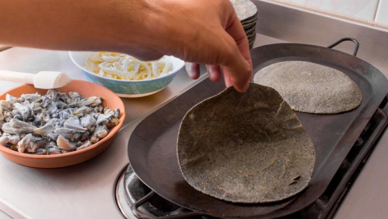 O ciupercă dăunătoare a devenit deliciu culinar în restaurantele de lux