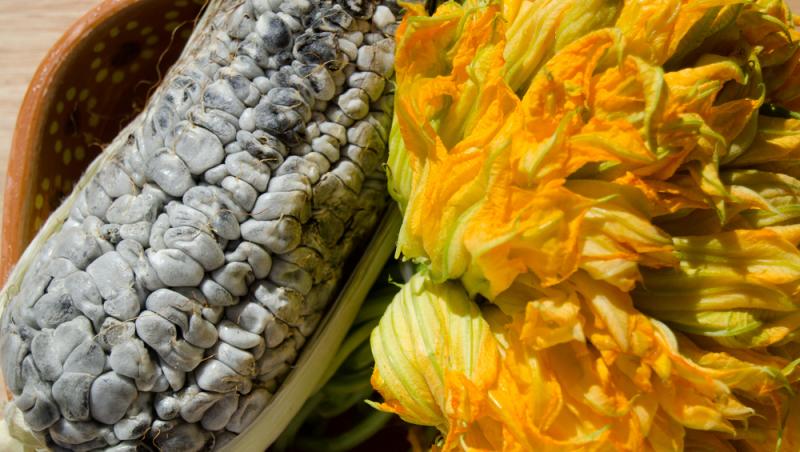 O ciupercă dăunătoare a devenit deliciu culinar în restaurantele de lux