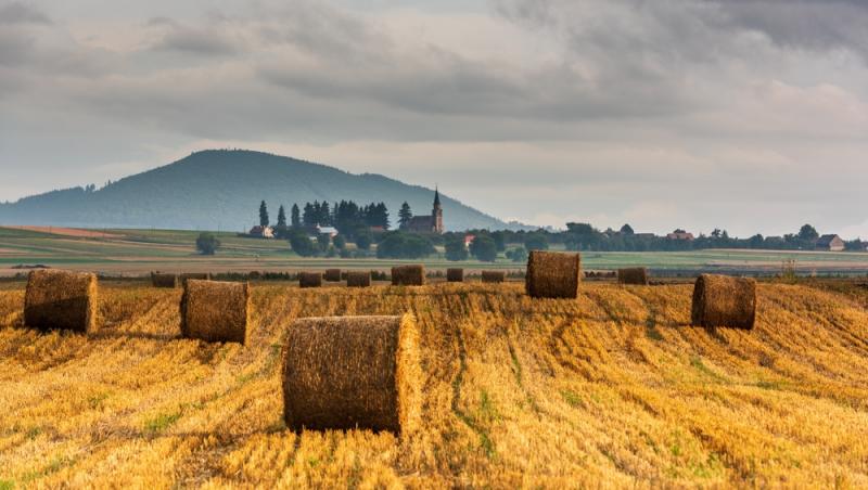 România, în Cartea Recordurilor de peste 70 de ori. Cu ce performanțe naționale ne mândrim