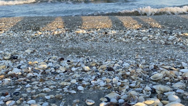 Cât costă o noapte de cazare pe plaja sălbatică de la Corbu în 2025. Cât de mult s-a dezvoltat zona