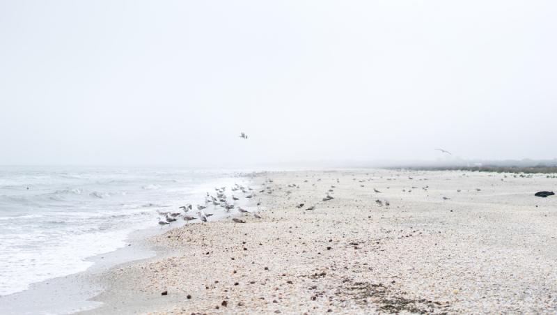 Cât costă o noapte de cazare pe plaja sălbatică de la Corbu în 2025. Cât de mult s-a dezvoltat zona