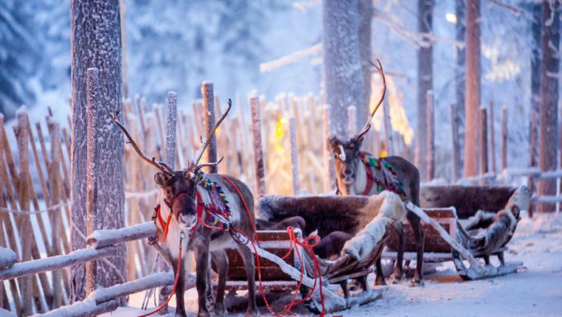 Record istoric de caniculă în Laponia. Cum îl afectează căldura pe Moș Crăciun: „Schimbările climatice au avut un impact”