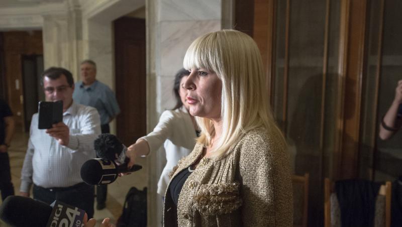 Motivarea judecătorilor în cazul Elenei Udrea. De ce sunt de acord ca fostul ministru să iasă mai repede din închisoare