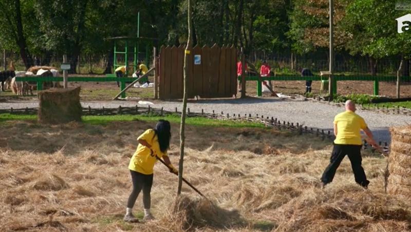 Poftiți pe la noi: Poftiți la întrecere, 8 iulie 2025. Ce echipă a câștigat etapa din Deva! Ce probe au primit vedetele