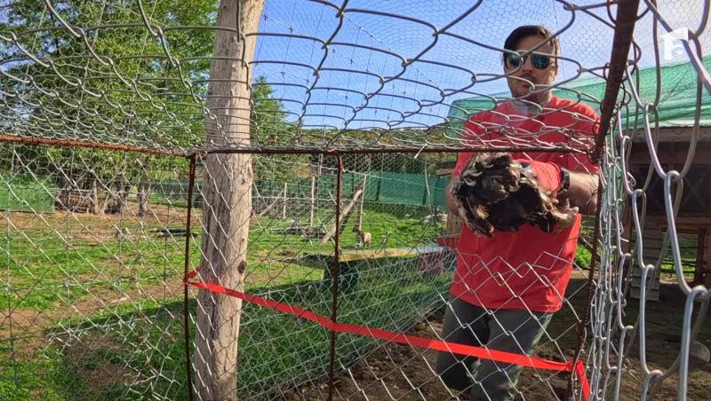 Poftiți pe la noi: Poftiți la întrecere, 8 iulie 2025. Ce echipă a câștigat etapa din Deva! Ce probe au primit vedetele