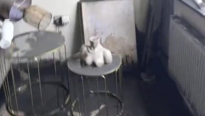 O femeie a uitat aspiratorul în priză, dar nu s-a îngrijorat. Ce s-a întâmplat în lipsa ei și cum a găsit casa la întoarcere