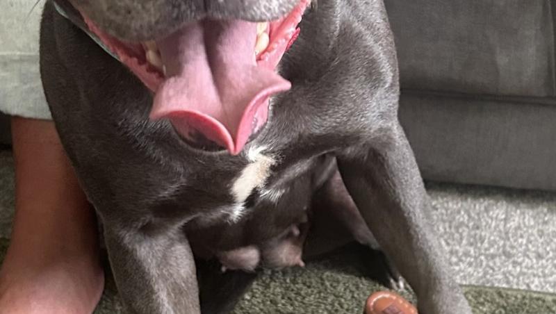 O tânără și-a comandat niște papuci pe un site folosit de numeroși români. Nu i-a venit să creadă ce a primit, de fapt