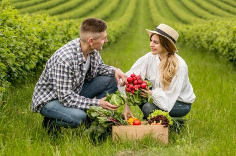 (P) Optimizează munca agricolă cu accesorii esențiale pentru utilajele mici