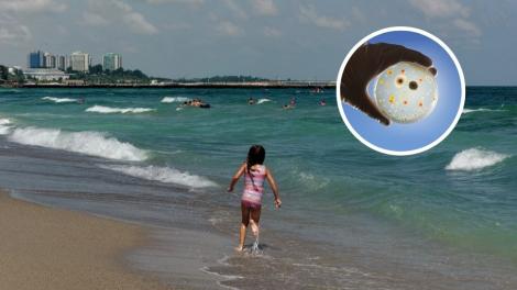 O bacterie periculoasă a contaminat Marea Neagră. Ce este și cum să te ferești de ea