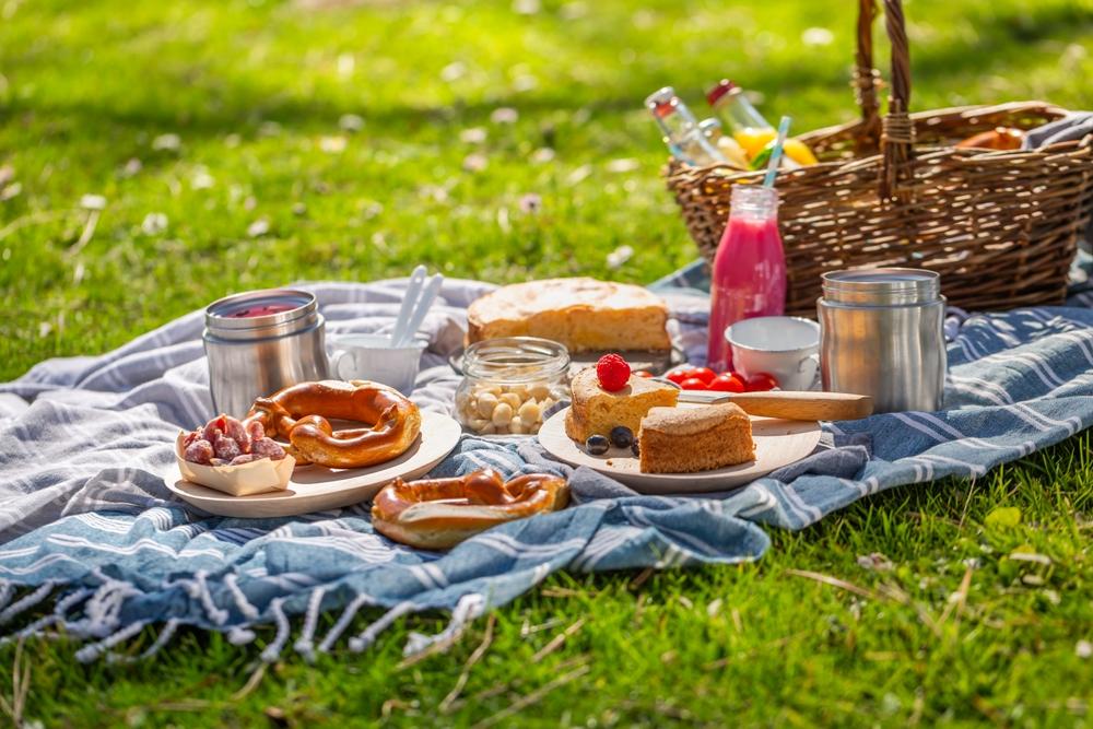 pătură de picnic