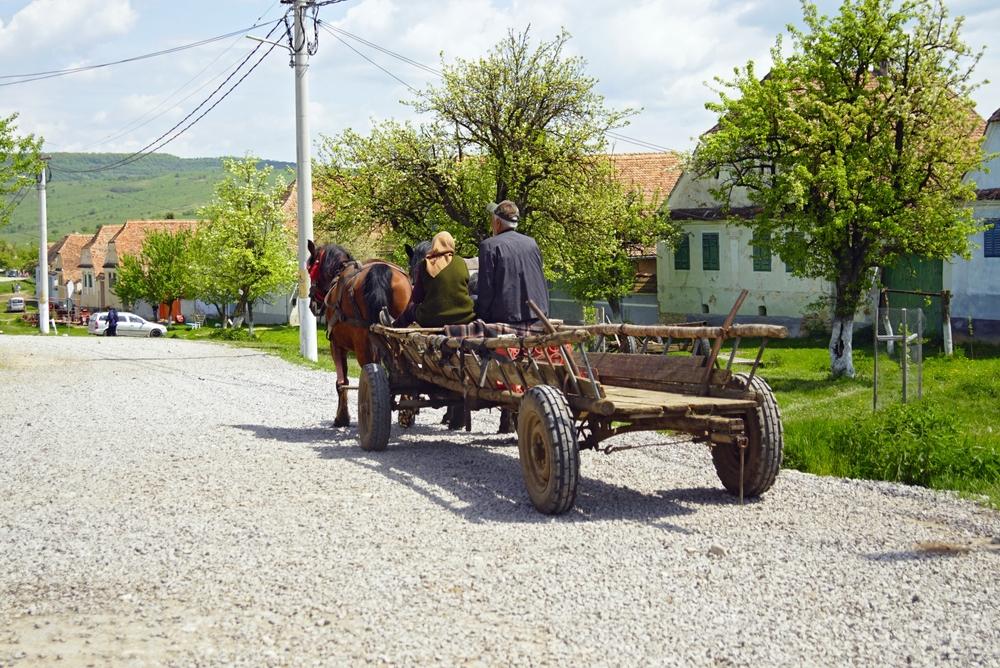 Primăria din Rom&acirc;nia care interzice circulația căruțelor fără &bdquo;toaletă portabilă&rdquo; pentru animale. Ce amenzi anunță