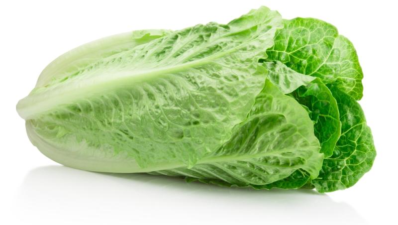 Ghidul salatelor. Tot ce trebuie să știi despre frunzele tale verzi preferate