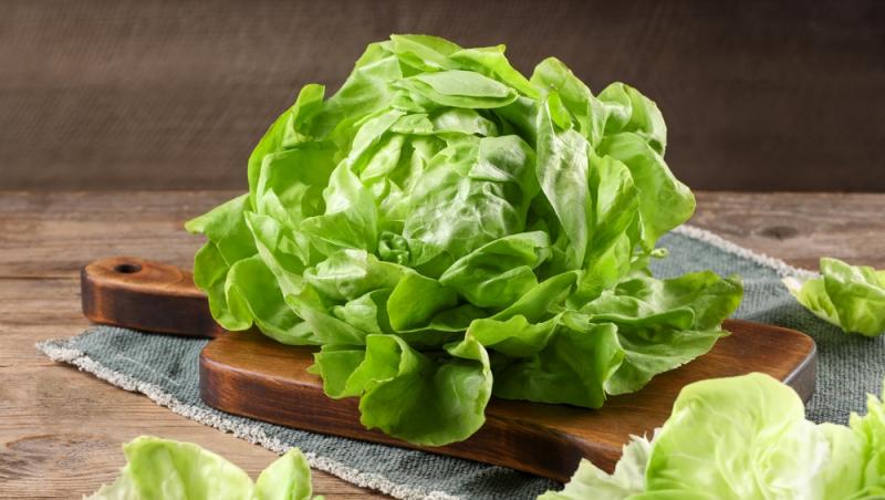 Ghidul salatelor. Tot ce trebuie să știi despre frunzele tale verzi preferate