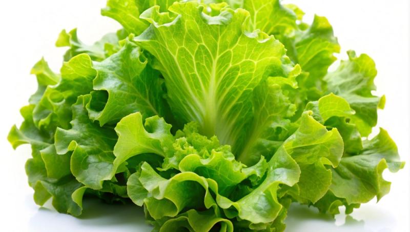 Ghidul salatelor. Tot ce trebuie să știi despre frunzele tale verzi preferate