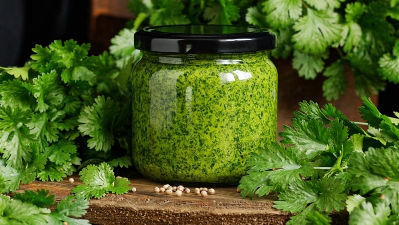 Sosuri pentru carnea de pui. Cum să dai gust preparatelor din carne de pui