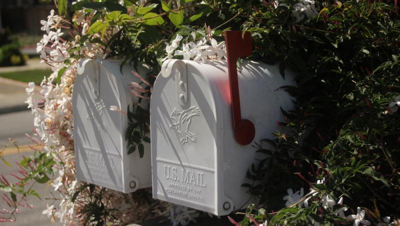 Exces de zel din partea vecinilor. De ce surpriză nu tocmai plăcută a avut parte un cuplu la revenirea din vacanță