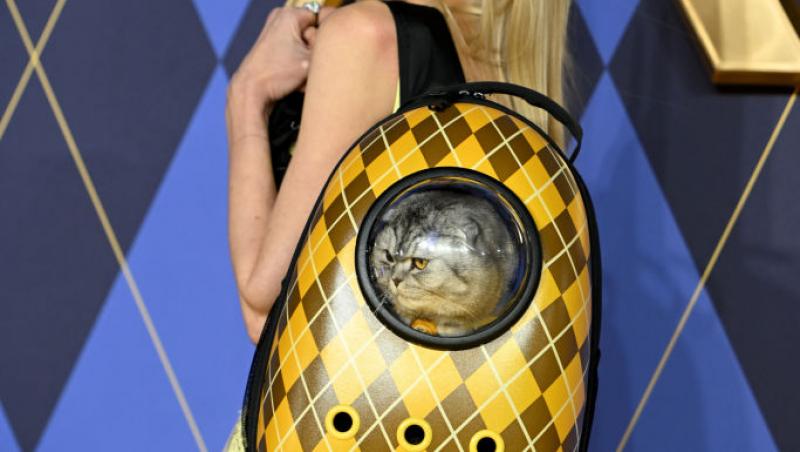 Cum arată Claudia Schiffer la 55 de ani. Supermodelul a pozat într-un costum de baie de aproape 1000 de dolari