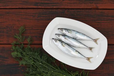 Alimente care pot ajuta la producerea celulelor cerebrale noi. Cum pot sprijini funcția cognitivă și memoria