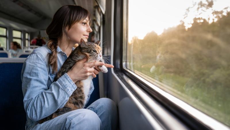 Ce sumă au fost nevoiți să plătească stăpânii unei pisici pentru că a mieunat în tren. Călătoria a fost destul de costisitoare