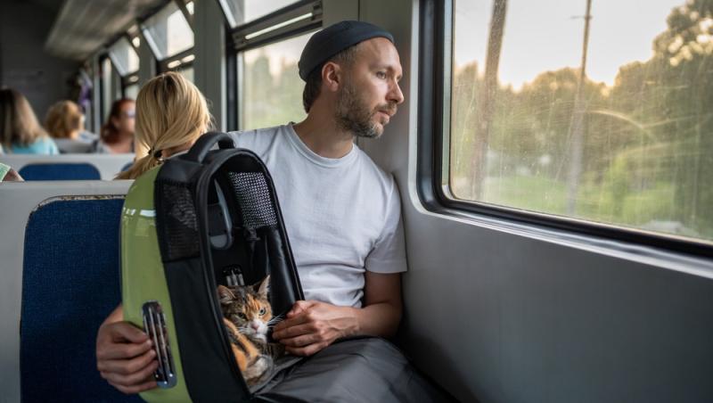 Ce sumă au fost nevoiți să plătească stăpânii unei pisici pentru că a mieunat în tren. Călătoria a fost destul de costisitoare
