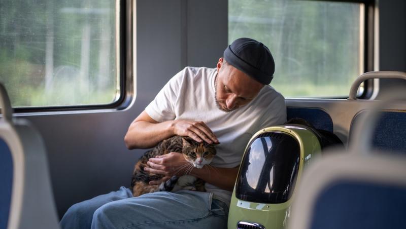 Ce sumă au fost nevoiți să plătească stăpânii unei pisici pentru că a mieunat în tren. Călătoria a fost destul de costisitoare