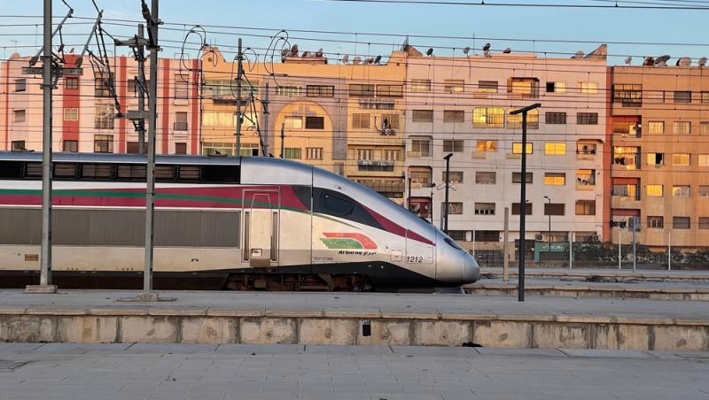 Ce sumă au fost nevoiți să plătească stăpânii unei pisici pentru că a mieunat în tren. Călătoria a fost destul de costisitoare