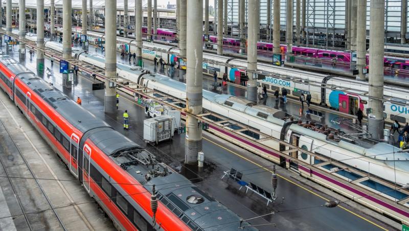 Ce sumă au fost nevoiți să plătească stăpânii unei pisici pentru că a mieunat în tren. Călătoria a fost destul de costisitoare