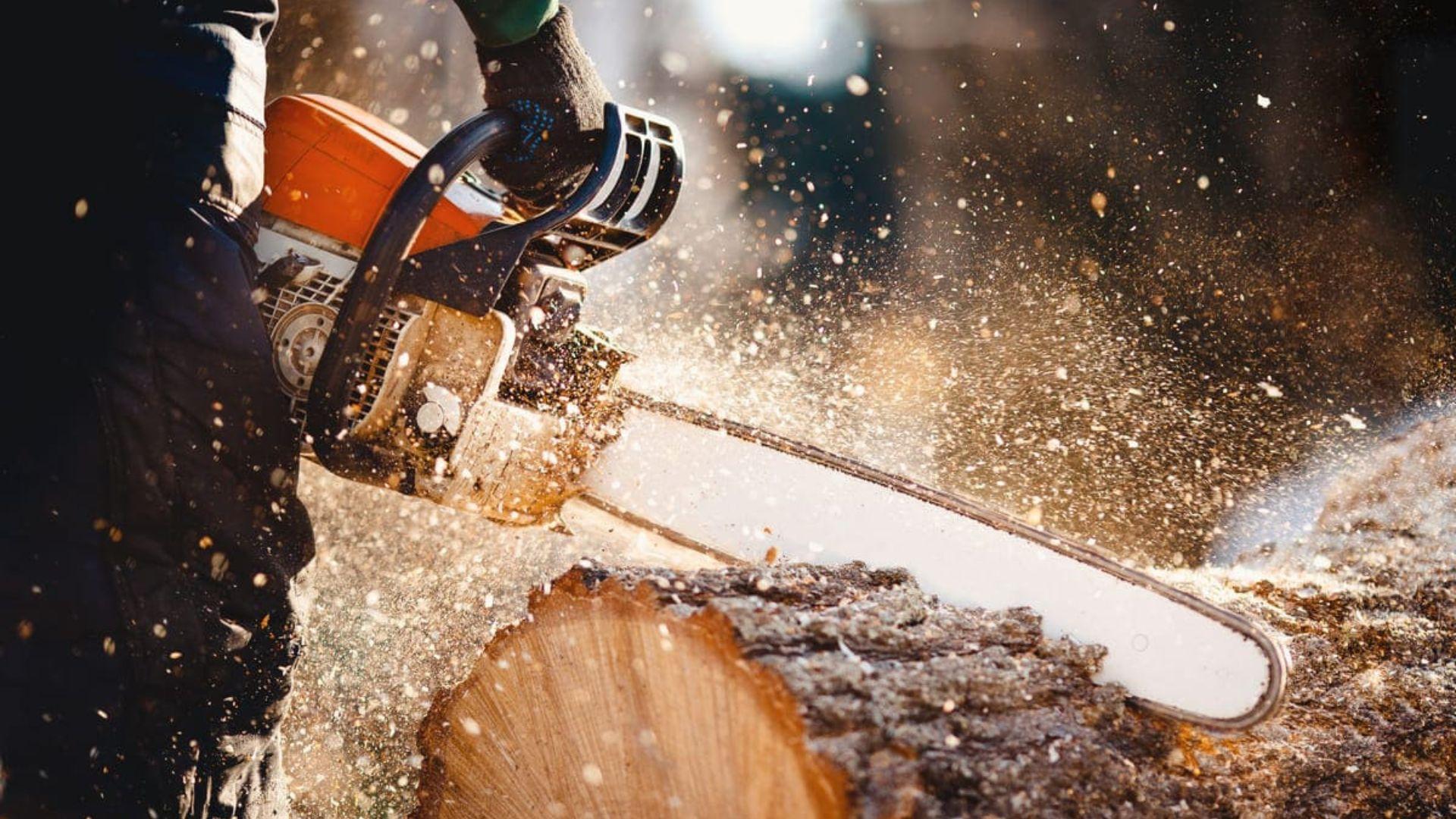 (P) Drujbe pentru intervenții rapide: ce folosesc profesioniștii &icirc;n teren?