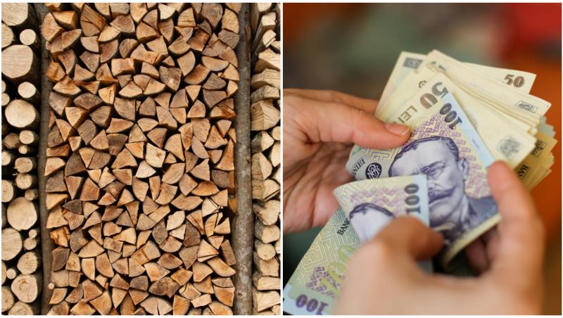 Lemne pentru foc și mâna unei tinere care numără bani