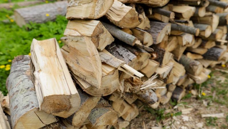 Cât costă un metru cub de lemne pentru foc în 2025. Creșterea TVA-ului se resimte puternic