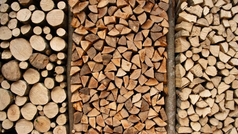 Cât costă un metru cub de lemne pentru foc în 2025. Creșterea TVA-ului se resimte puternic