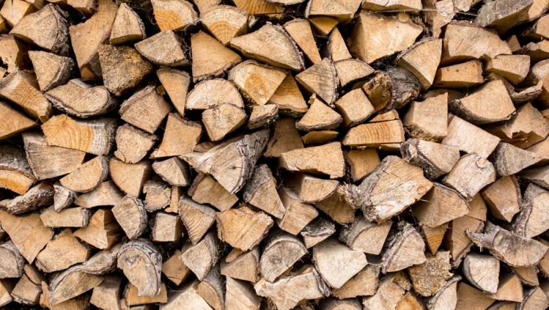 Cât costă un metru cub de lemne pentru foc în 2025. Creșterea TVA-ului se resimte puternic