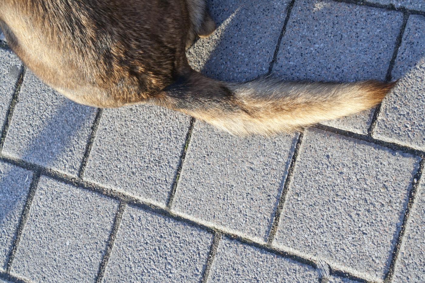 imagine cu un barbat vcare