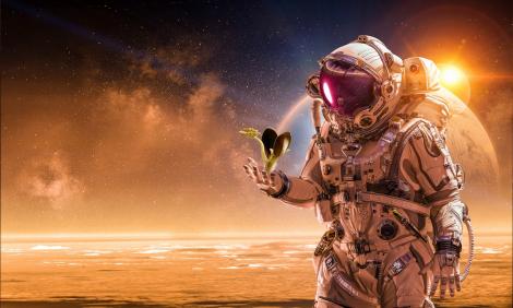 Cum ar fi arătat viața pe Marte în trecut. Experții NASA au dezvăluit ce s-a întâmplat cu viețuitoarele de pe Planeta Roșie