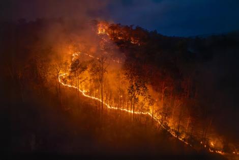 Incendiile din Canada au produs 87.000 de decese la nivel mondial. Cum e posibil
