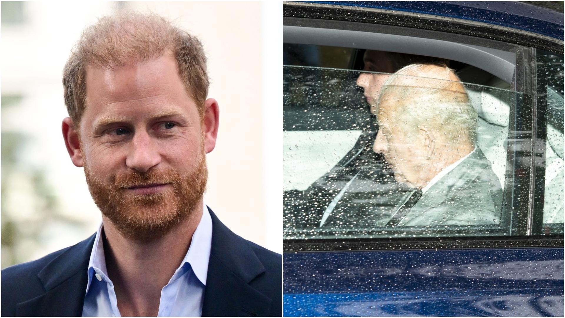 colaj foto printul harry si regele charles marea britanie