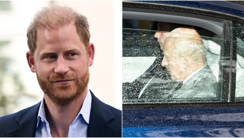 colaj foto printul harry si regele charles marea britanie