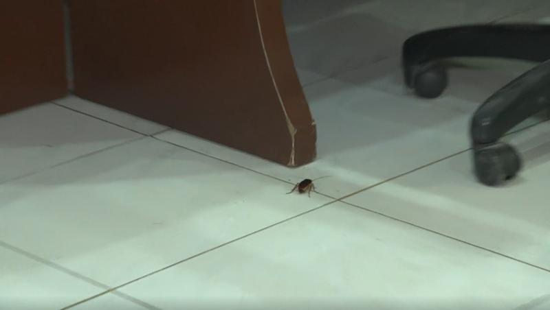 Asia Express sezonul 8, 15 septembrie 2025. Concurenții și-au căutat singuri cazare. În ce condiții au dormit Anda Adam și Joseph