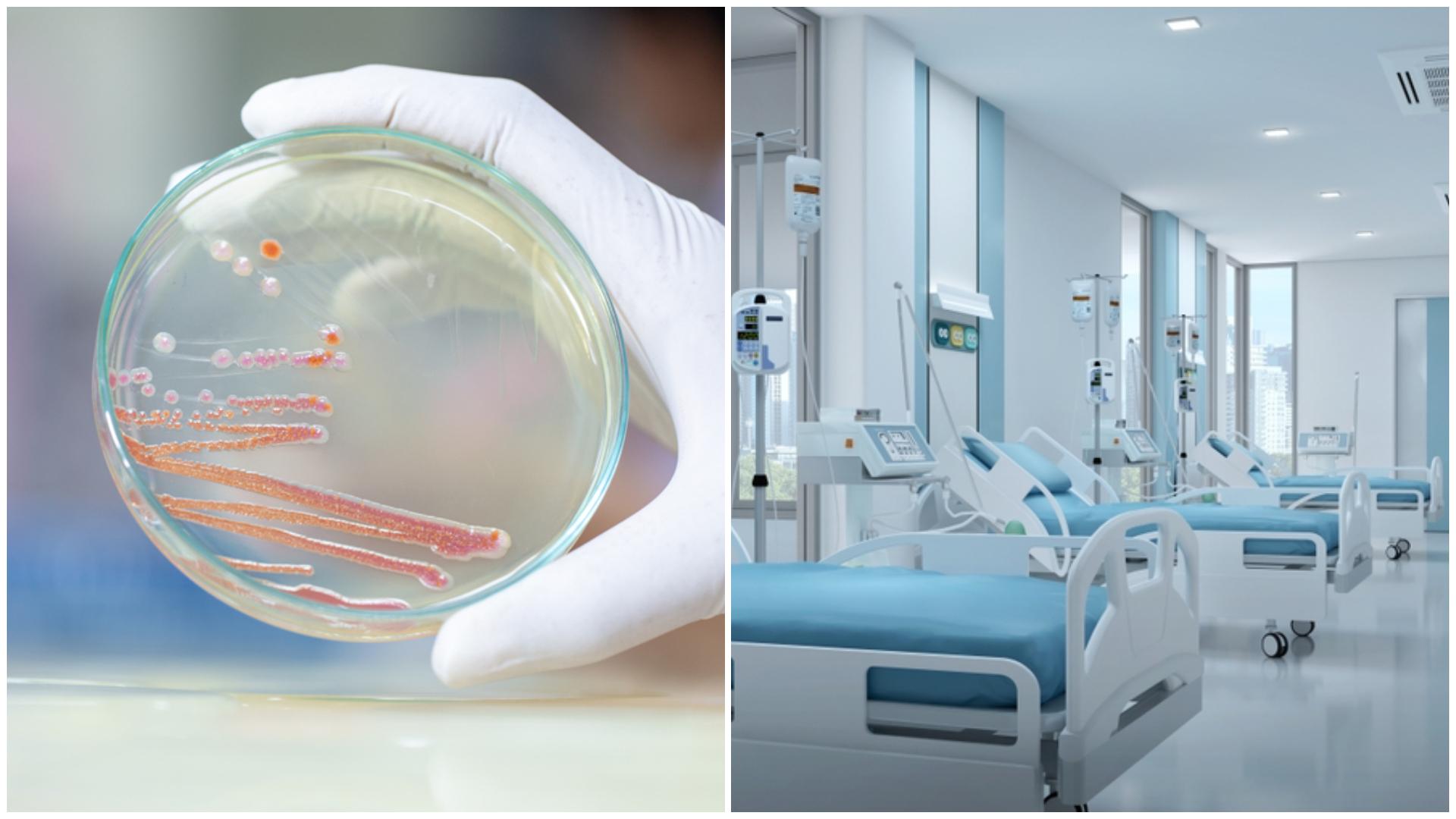 Ce este bacteria Serratia Marcescens, responsabilă de tragediile de la Spitalul de Copii „Sfânta Maria” din Iași