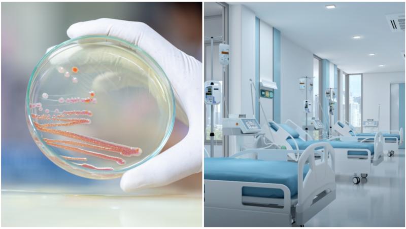 Recipient din sticlă folosit pentru cultivarea bacteriilor și fungilor pe mediu nutritiv