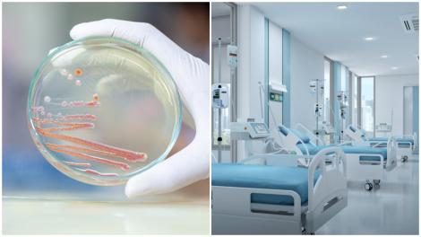 Ce este bacteria Serratia Marcescens, responsabilă de tragediile de la Spitalul de Copii „Sfânta Maria” din Iași
