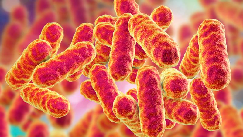 Ce este bacteria Serratia Marcescens, responsabilă de tragediile de la Spitalul de Copii „Sfânta Maria” din Iași