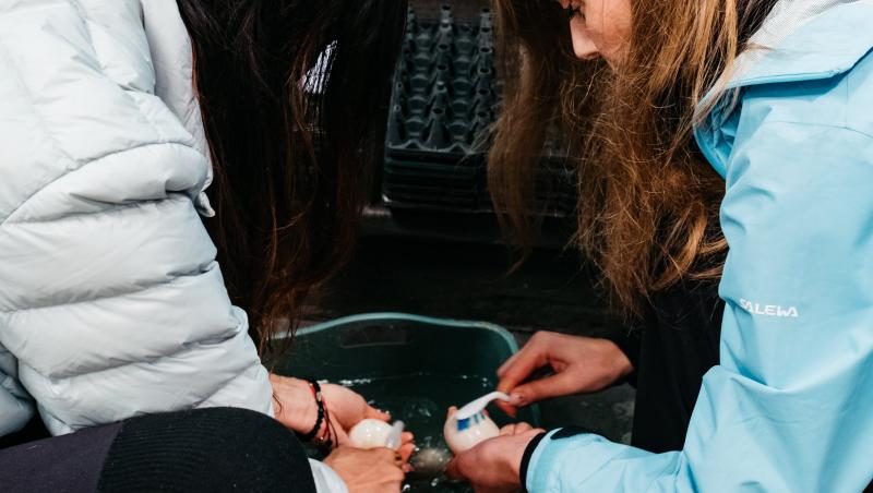 Asia Express sezonul 8, 29 septembrie 2025. Echipele au avut de trecut probe grele în această ediție. Ce s-a întâmplat