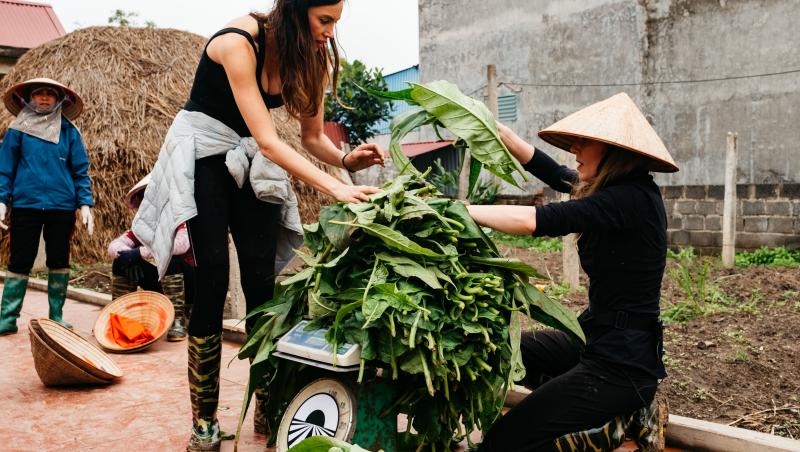 Asia Express sezonul 8, 29 septembrie 2025. Echipele au avut de trecut probe grele în această ediție. Ce s-a întâmplat