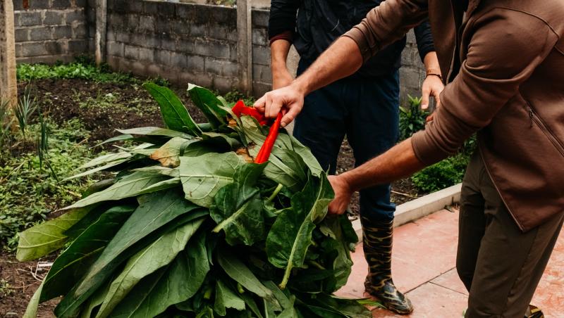 Asia Express sezonul 8, 29 septembrie 2025. Echipele au avut de trecut probe grele în această ediție. Ce s-a întâmplat