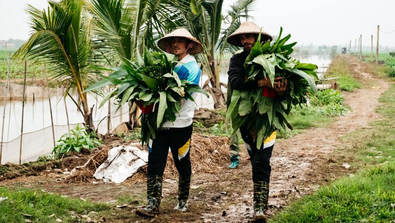 Asia Express sezonul 8, 29 septembrie 2025. Echipele au avut de trecut probe grele în această ediție. Ce s-a întâmplat