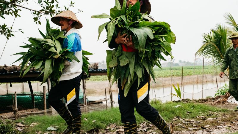 Asia Express sezonul 8, 29 septembrie 2025. Echipele au avut de trecut probe grele în această ediție. Ce s-a întâmplat